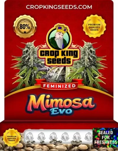 Mimosa Evo