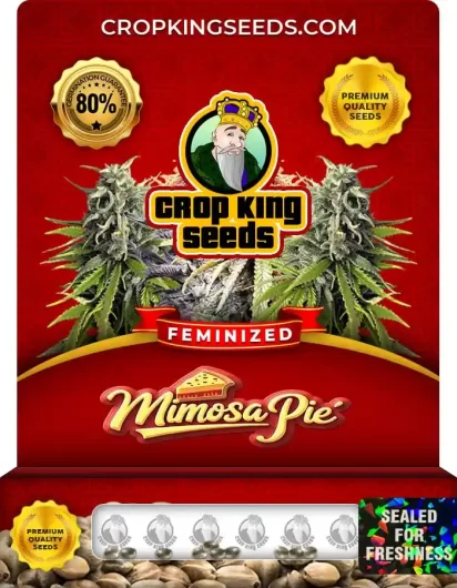 mimosa-pie-image