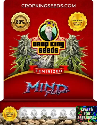 mind-flayer-image