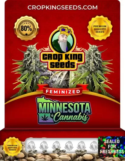 minnesota-image