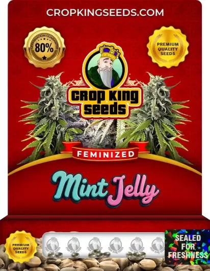 mint-jelly-image