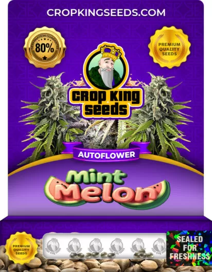 mint-melon-autoflower-image