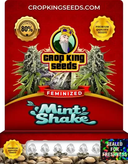 mint-shake-image