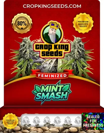 mint-smash-image