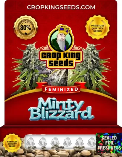 minty-blizzard-image
