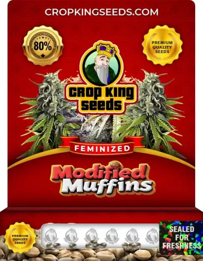 modified-muffins-image