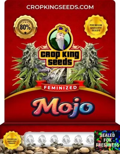 Mojo