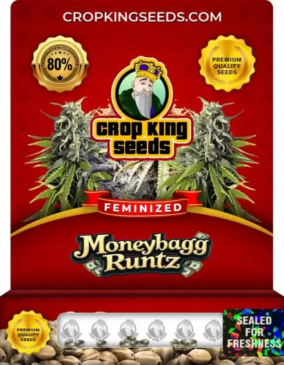 moneybagg-runtz-image