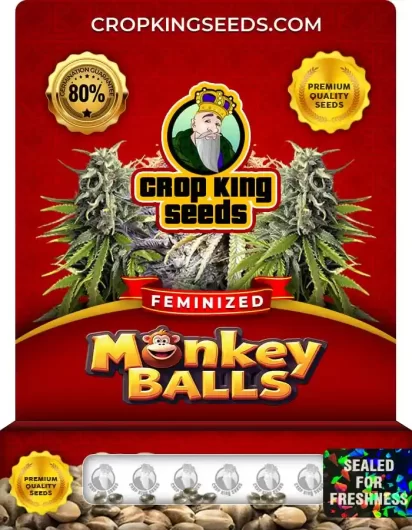 monkey-balls-image