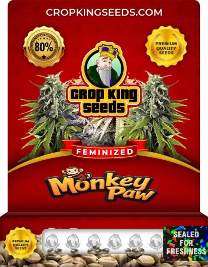 monkey-paw-image