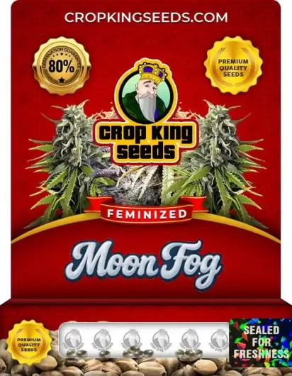 moon-fog-indica-image