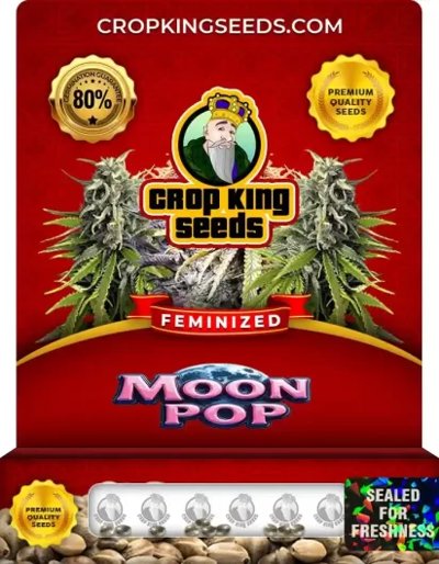 Moon Pop