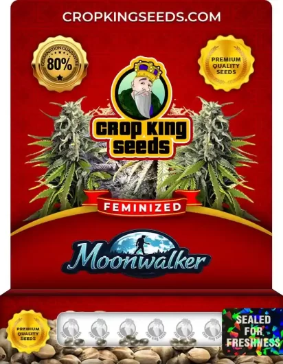moonwalker-image