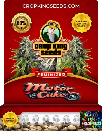 motor-cake-image