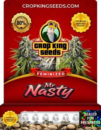 mr.-nasty-image
