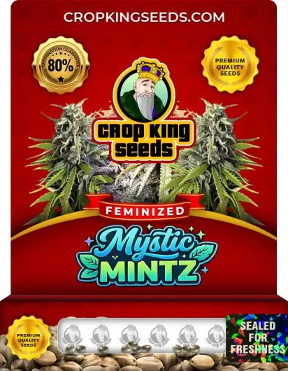 mystic-mintz-image
