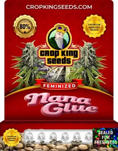 Nana Glue