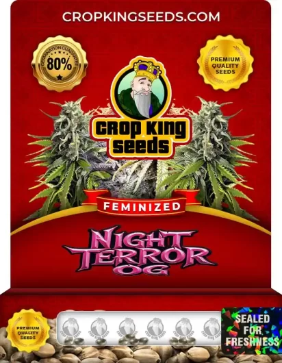 night-terror-og-image