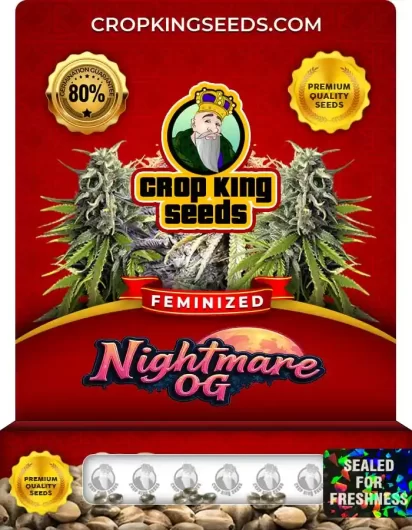 nightmare-og-image