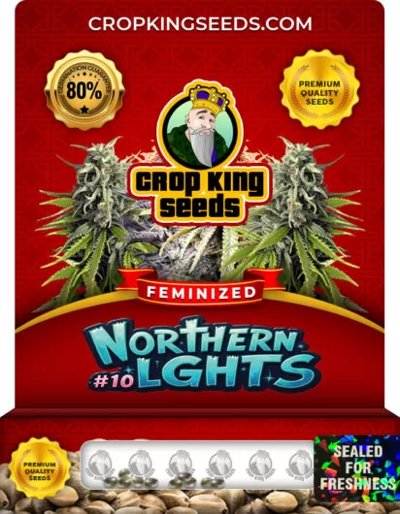 Northern Lights #10