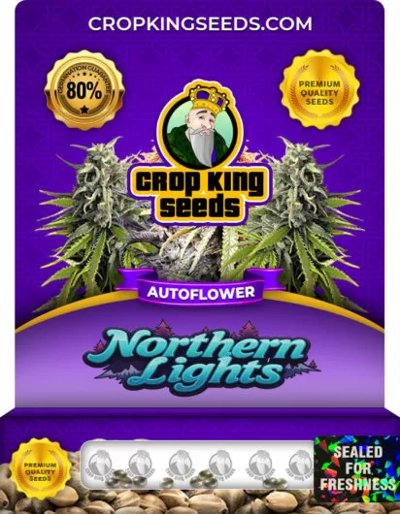 Northern Lights Autoflower