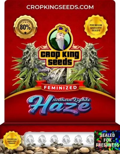 Northern Lights Haze