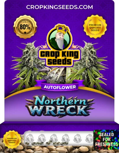 northern-wreck-autoflower-image