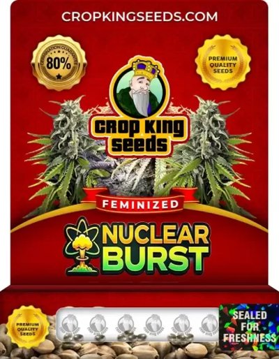 Nuclear Burst