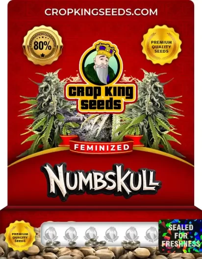numbskull-image