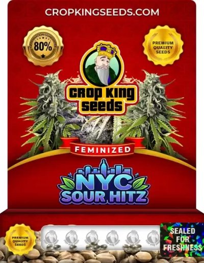 NYC Sour Hitz