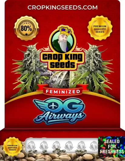 og-airways-image