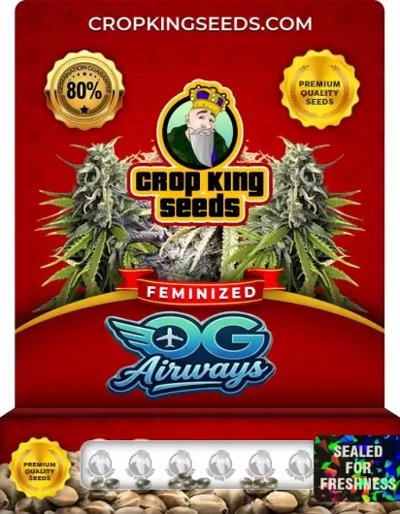 OG Airways