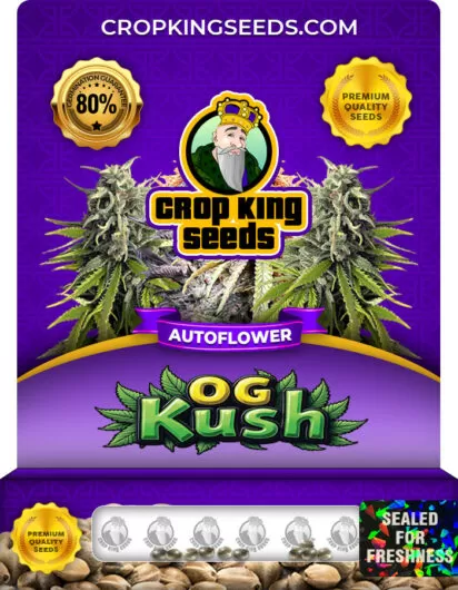 og-kush-autoflower-image