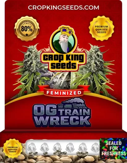og-train-wreck-image
