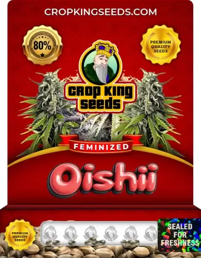 oishii-image