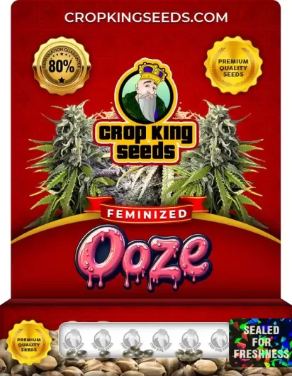 ooze-image
