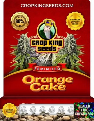 Orange Cake