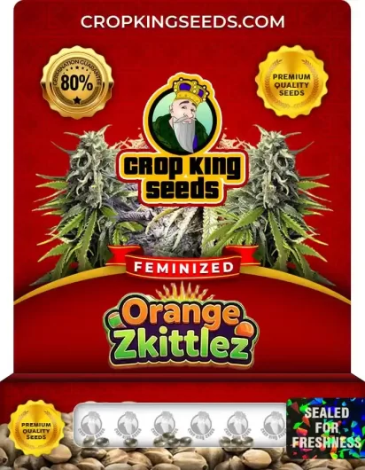 orange-zkittlez-image