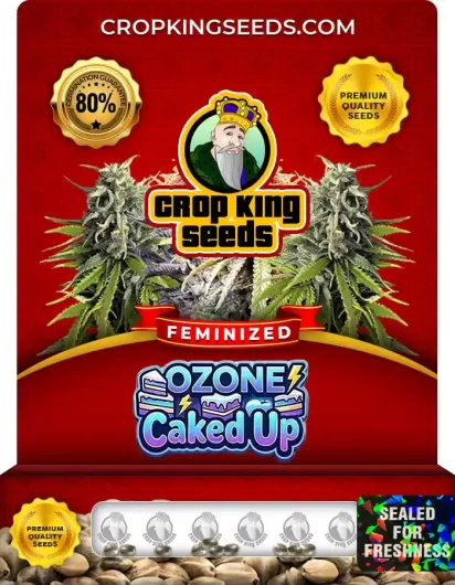 ozone-caked-up-image