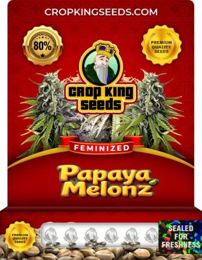 papaya-melonz-image
