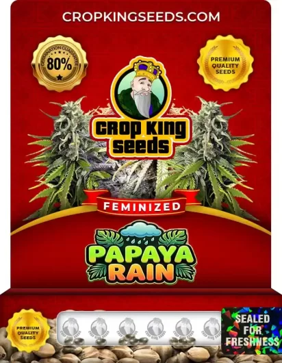 papaya-rain-image