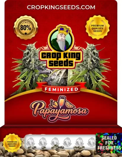 papayamosa-image