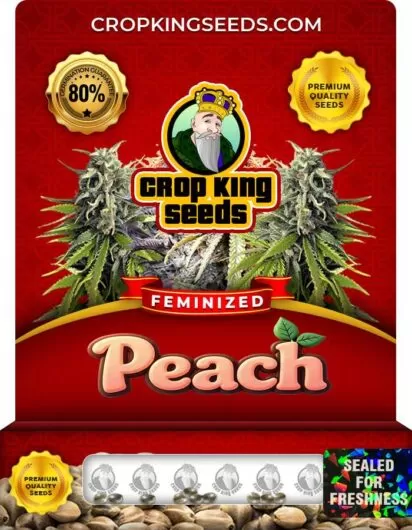 peach-image