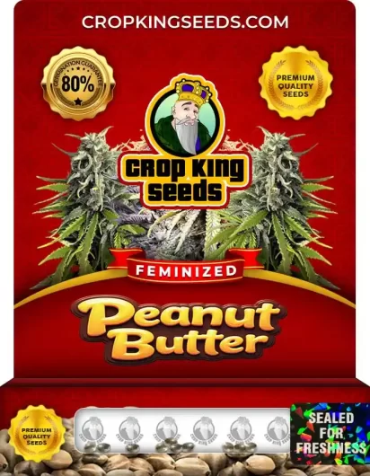peanut-butter-image
