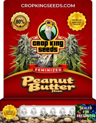 Peanut Butter Haze