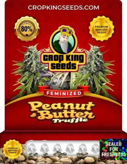 peanut-butter-truffle-image