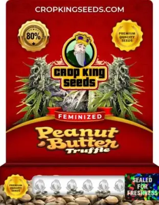 Peanut Butter Truffle