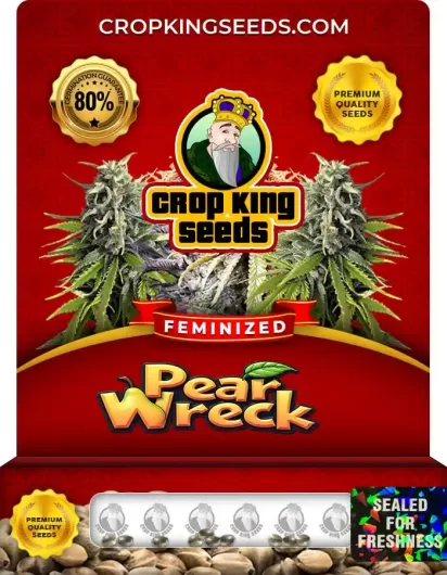 pear-wreck-image