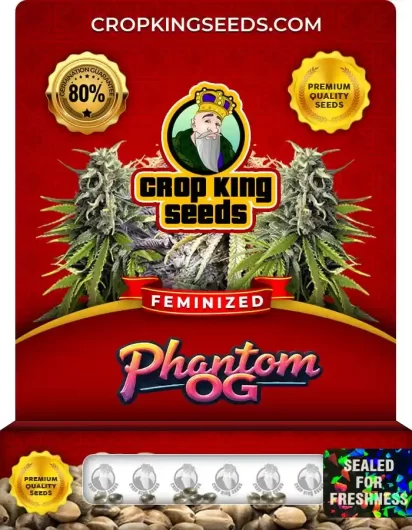 phantom-og-image
