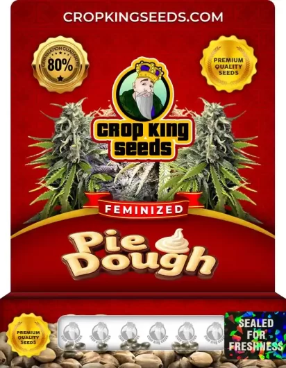 pie-dough-image